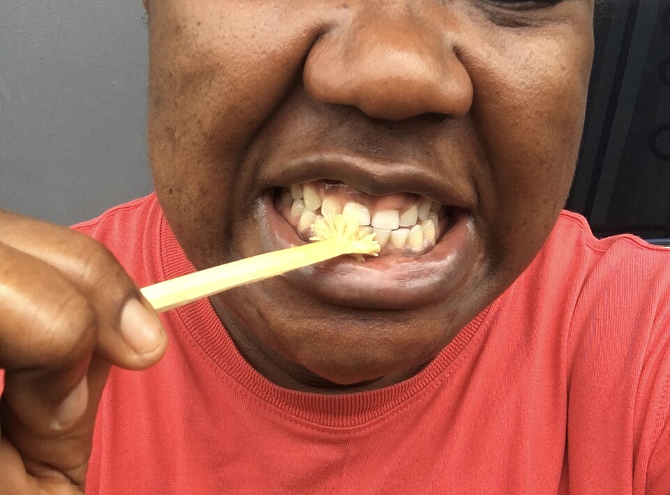 PAWS Spay/Neuter and Wellness Clinic