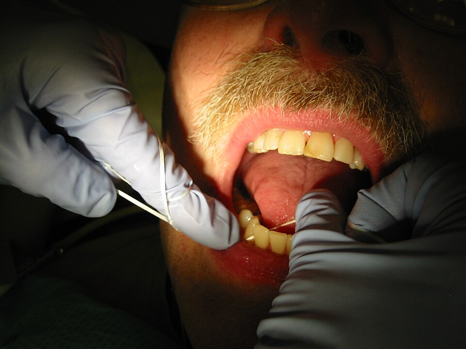 The Downtown Seattle Dentist